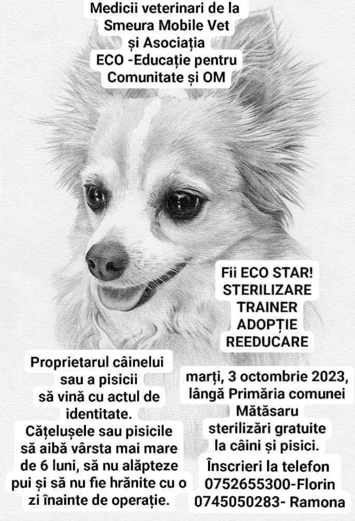ANUNȚ: Marți, 3 octombrie, voluntarii inimoși organizează o campanie de sterilizări gratuite pentru câini și pisici, la Mătăsaru